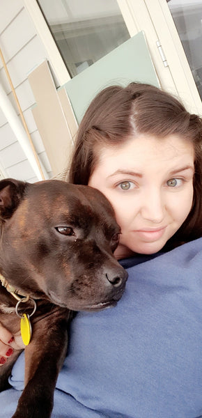 The gift of shelter and safety for dogs in need
