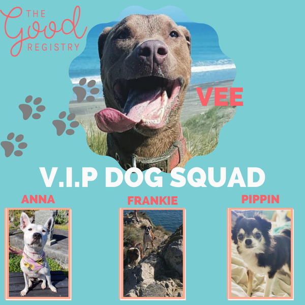 Dogs doing Good: the V.I.P Dog Squad