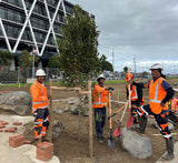 Te Whāngai Trust