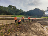 Te Whāngai Trust