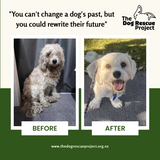 The Dog Rescue Project