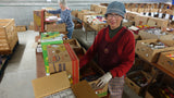 Volunteers pack boxes of groceries at the Christchurch City Mission