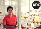 A woman entrepreneur on her chicken farm in Myanmar
